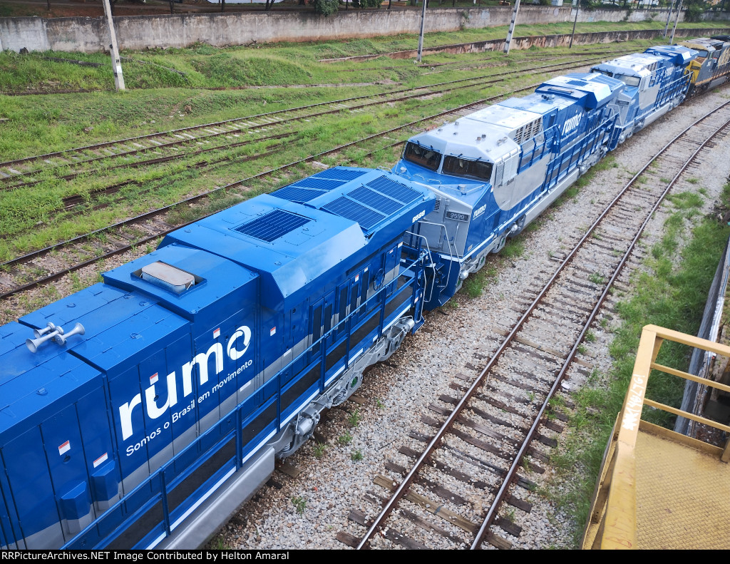 RUMO 9598